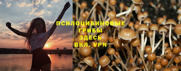 ГАЛЛЮЦИНОГЕННЫЕ ГРИБЫ Алексин