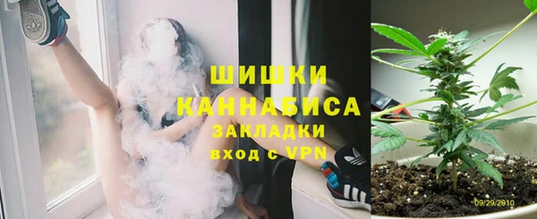 ГАЛЛЮЦИНОГЕННЫЕ ГРИБЫ Алексин